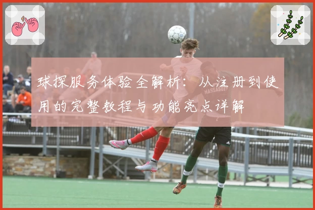 球探服务体验全解析：从注册到使用的完整教程与功能亮点详解