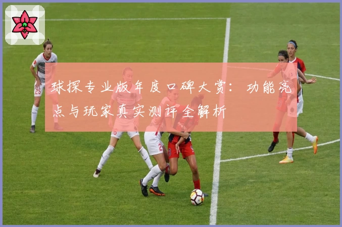 球探专业版年度口碑大赏:功能亮点与玩家真实测评全解析