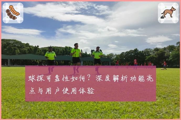 球探可靠性如何？深度解析功能亮点与用户使用体验