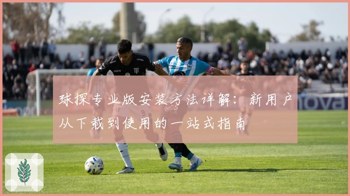 球探专业版安装方法详解：新用户从下载到使用的一站式指南