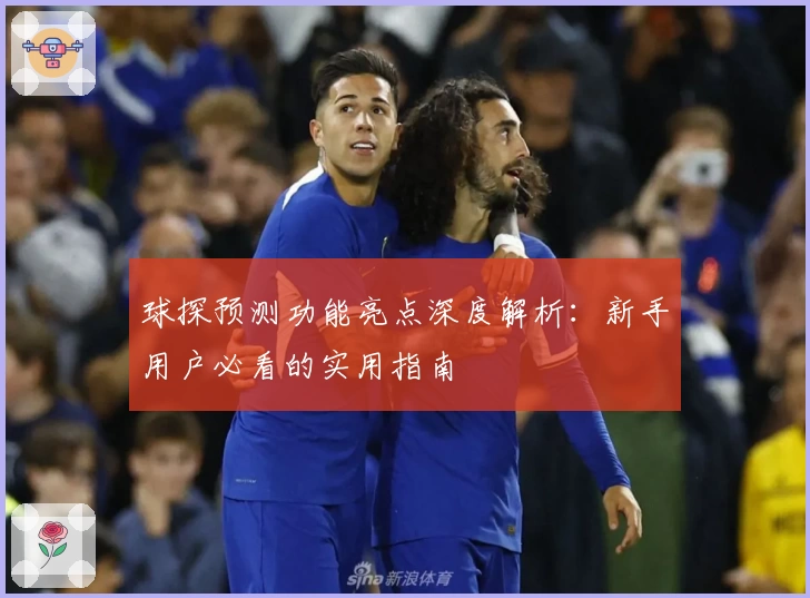球探预测功能亮点深度解析：新手用户必看的实用指南