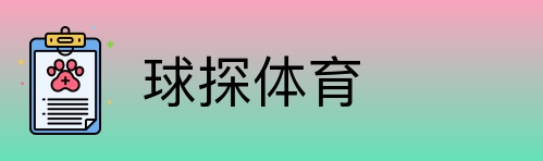 球探体育 Logo
